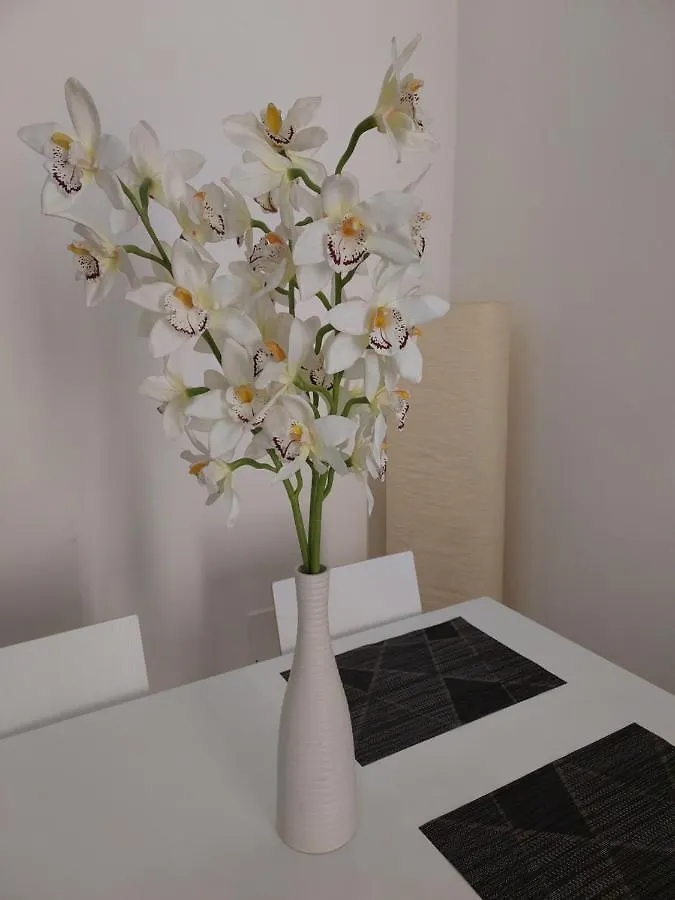 The Smart Choice Apartments Florence